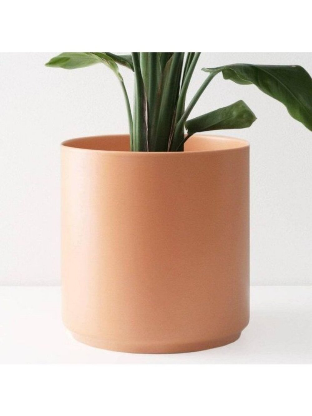 Modern Ceramic Planter 5" Peach